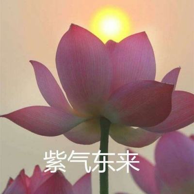 超变数码宝贝公益服下载